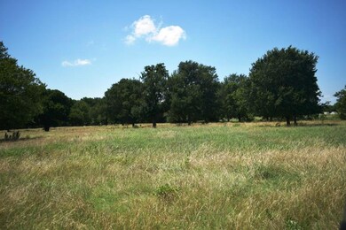 TBD Cr4236, Bonham, TX 75418 - photo 6