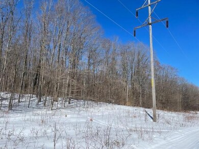 0 N Sunshine Trail unit 201817387, Wolverine, MI 49799 - photo 6