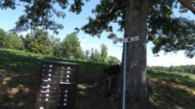 0 Ranchside Ct unit RTC2942773, Rock Island, TN 38581 - photo 3