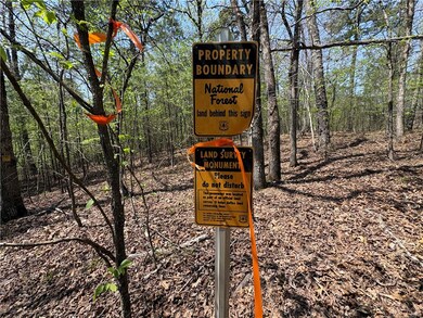 Tract 7 Nwf 517, Other Ar, AR 71935 - photo 5