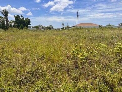 212 NW 5th Terrace, Cape Coral, FL 33993 - photo 5