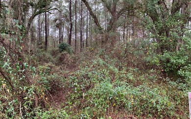 TBD Churchill Way, Lake City, FL 32025 - photo 4