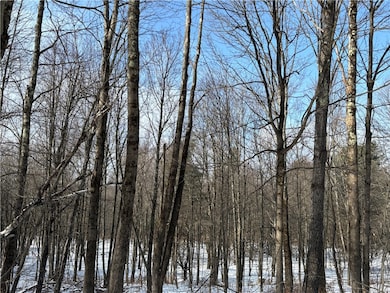 0 Smokey Ave unit R1652919, Westford, NY 12155 - photo 4