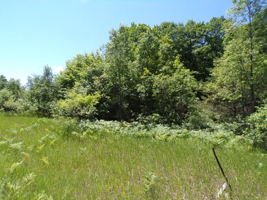 North border