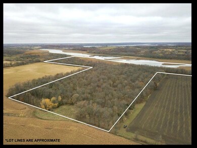 Drone shot- lot lines are approximate