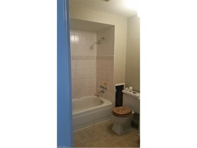 14305 Westropp Ave, Cleveland, OH 44110 - photo 5