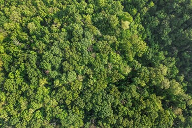 Lot 3 and 4 Bollington Dr, Bella Vista, AR 72715 - photo 6