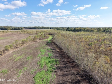 0 Walnut Lake Rd, Dundee, MS 38626 - photo 4
