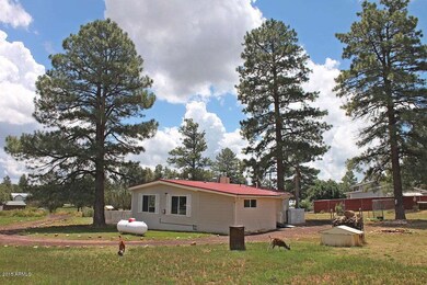 Back Side Yard