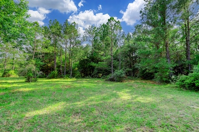 Beautiful private property with lots of great tree