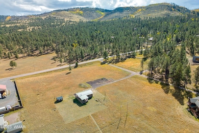 21 N1014, Greer, AZ 85927 - photo 4