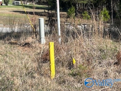 51 Peck Mountain Rd, Eva, AL 35621 - photo 4