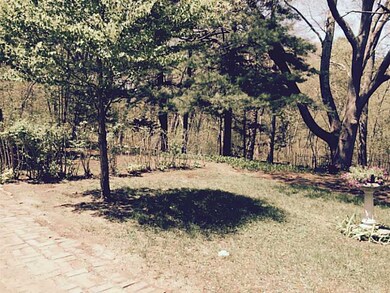 Yard/Garden.
