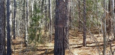 This 1.24 acre wooded lot has a relatively flat building envelope; Take down or leave up as many trees as you'd like; Lot perked in 2003 for a 4BR home; Bring your own builder and no time frame to build; The property is marked with orange tape and st