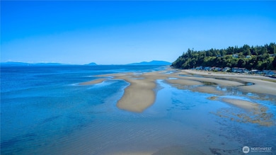 0 3 73 Acres Derby Ave, Point Roberts, WA 98281 - photo 3