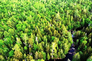 DJI_0332