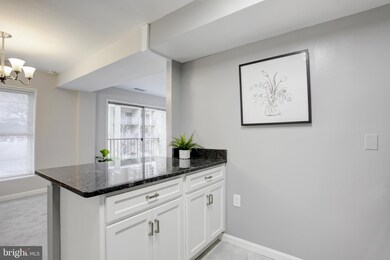 39 Canterbury Square unit 201, Alexandria, VA 22304 - photo 5