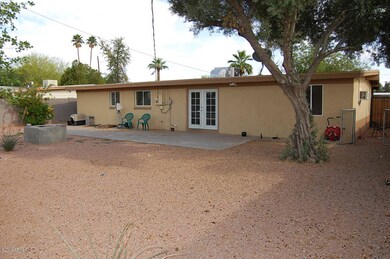 Back yard