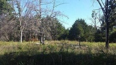 622 S Rosewood St, Shell Knob, MO 65747 - photo 7