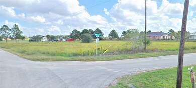 0 Kelly Ln, Richmond, TX 77469 - photo 4