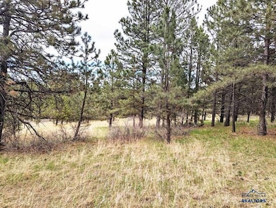 TBD Lot 5 Argyle Rd, Hot Springs, SD 57747 - photo 6