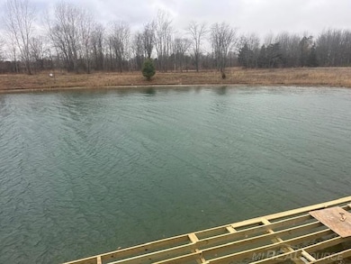 68651 Lake Angela Pointe, Richmond, MI 48062 - photo 3