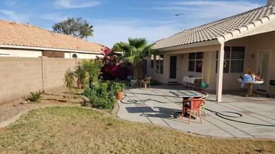 backyard1