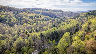 TBD Guest River Rd, Norton, VA 24273 - photo 5