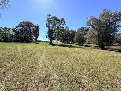 0 County Road 32, Newville, AL 36353 - photo 3