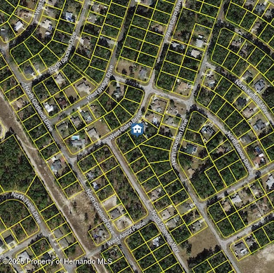 map - 2025-05-30T145855.676