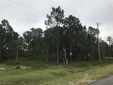 831 Knox Ave S, Lehigh Acres, FL 33974 - photo 3