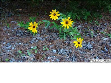 PLEANT OF NATURAL WILDLIFE AND WILD FLOWERS...BEAU