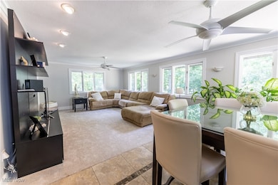 331 Verdant Ln, Canfield, OH 44406 - photo 7