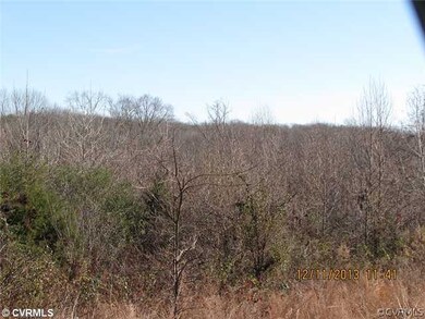 0000 Wright, Amelia, VA 23002 - photo 3