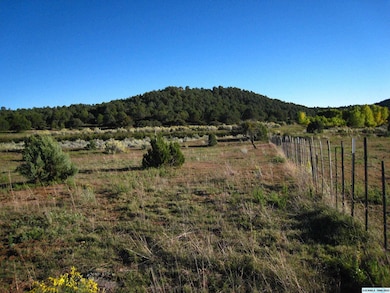 XX Linda Dr, Silver City, NM 88061 - photo 2