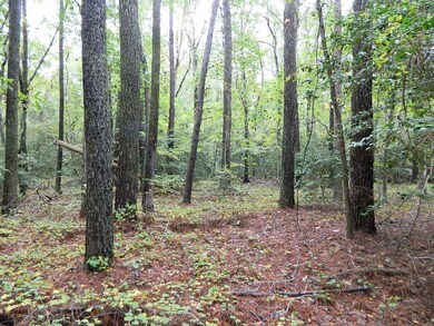 Lot interior