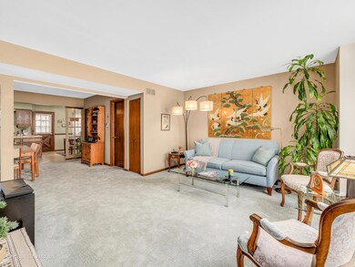 1105 W Hillgrove Ave unit 4, La Grange, IL 60525 - photo 4