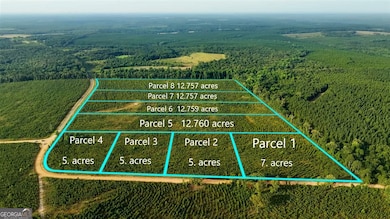 Parcel 12 Carl Rogers Rd, Reynolds, GA 31076 - photo 4