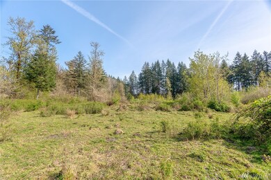 167 Hopp Rd, Toledo, WA 98591 - photo 7