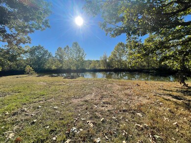 pond