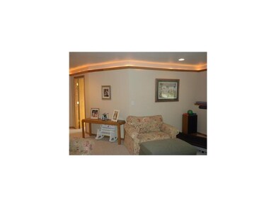 Family Room. Lower level family room featuring cro