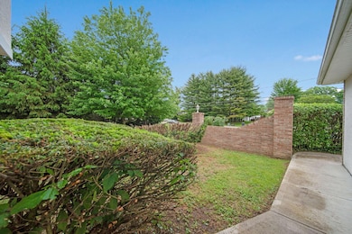 15-web-or-mls-DSC03291