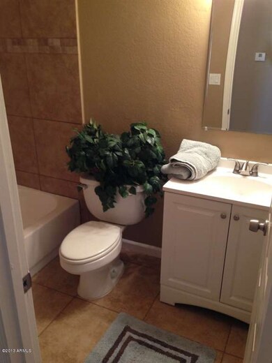 guest bath (2)