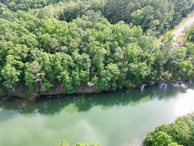 LOT 8 Shoreside at Sipsey, Double Springs, AL 35553 - photo 3