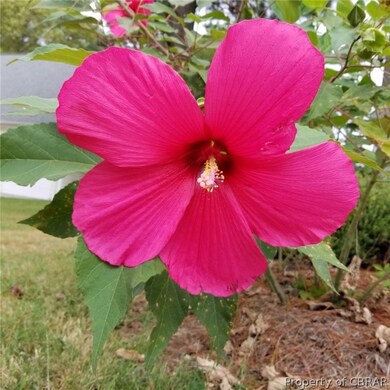 Be sure to take the visual tour attached. Beautifu
