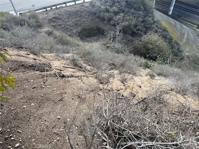 0 Stonehill Dr unit OC25264877, San Juan Capistrano, CA 92675 - photo 3