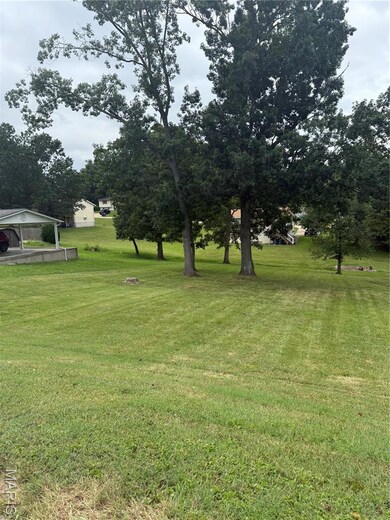 View of green lawn with a carport