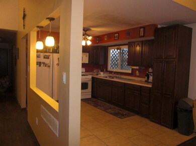 1229 Cedar Ln, Dyer, IN 46311 - photo 3