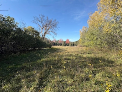 Gently rolling open pasture