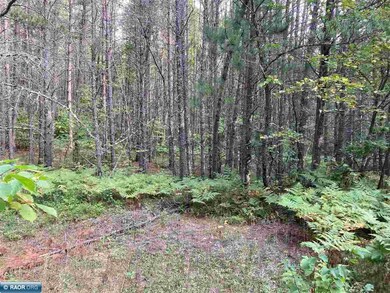 TBD Hoel Rd, Tikander Lake, MN 55741 - photo 5